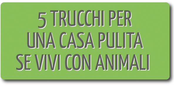 5 TRUCCHI PER UNA CASA PULITA SE VIVI CON ANIMALI 13 5 TRUCCHI ER UNA CASA ULITA SE VIVI CON ANIMALI