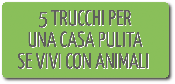 5 TRUCCHI ER UNA CASA ULITA SE VIVI CON ANIMALI
