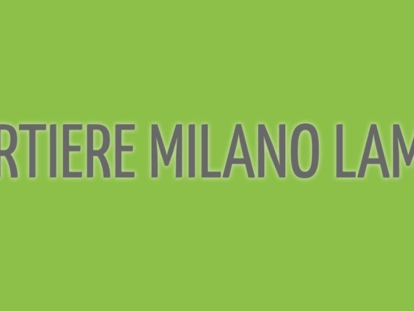 il quartiere milano 2 1