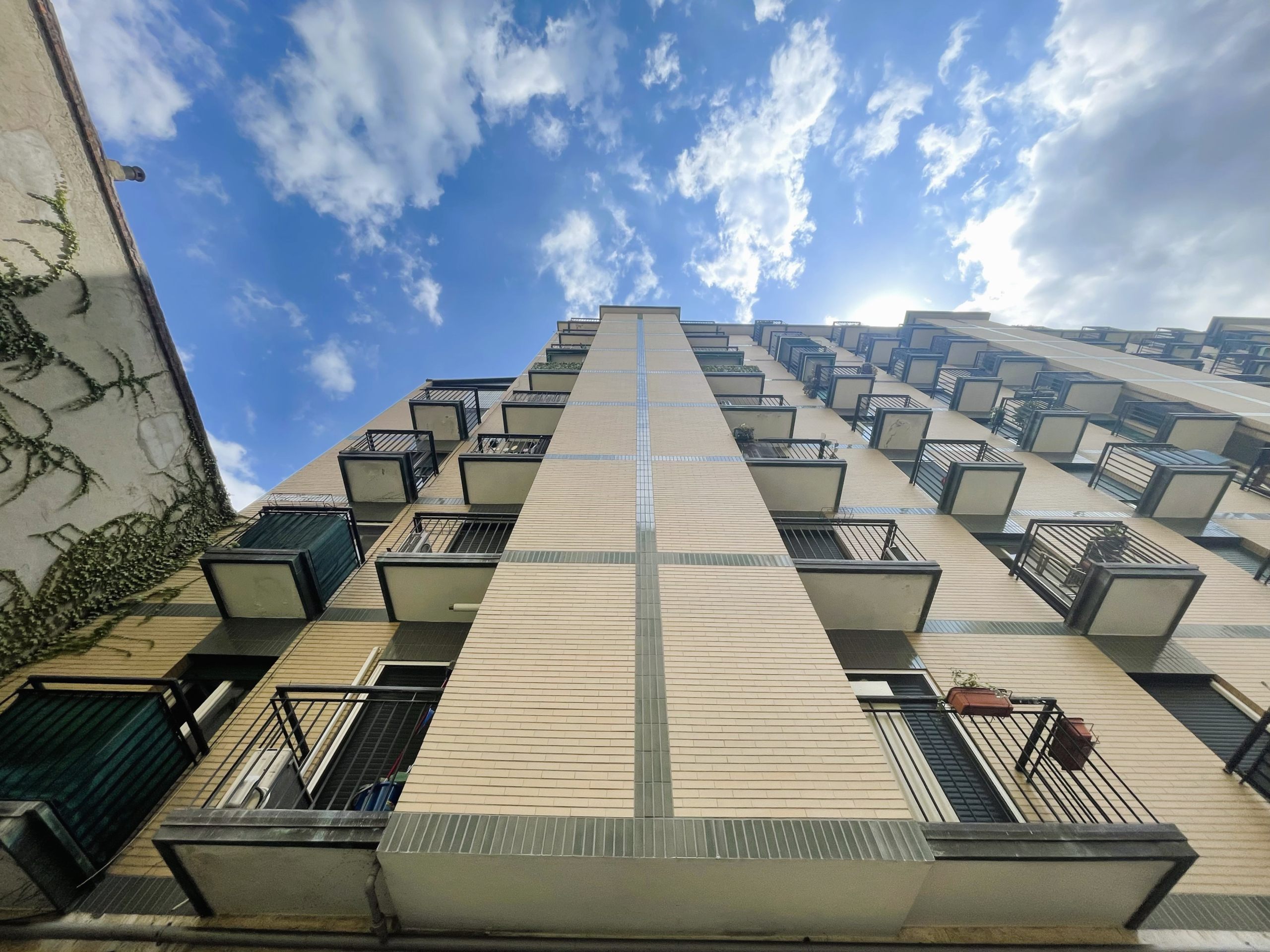 20250724_105231114_iOS