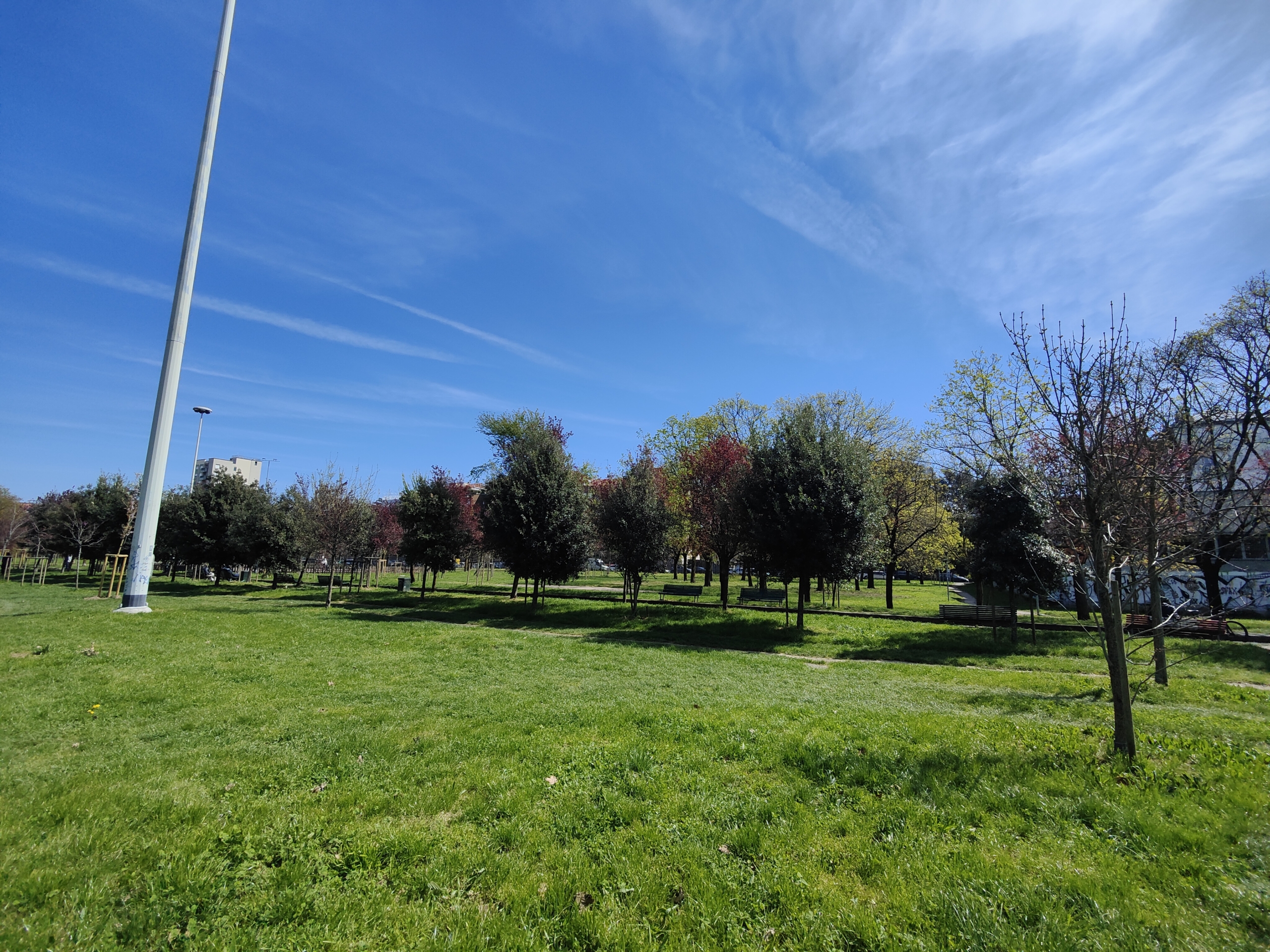 IMG20260328123140 3 locali di 64 mq oltre terrazzo 40 mq