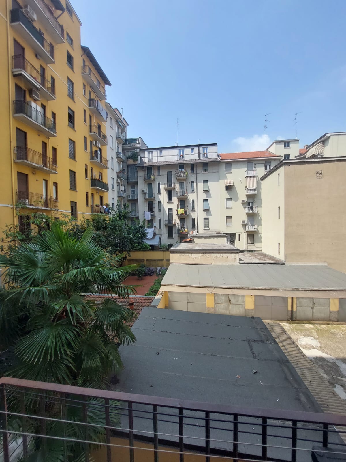 1689931683184 Città Studi/via Aselli/ad.ze Politecnico